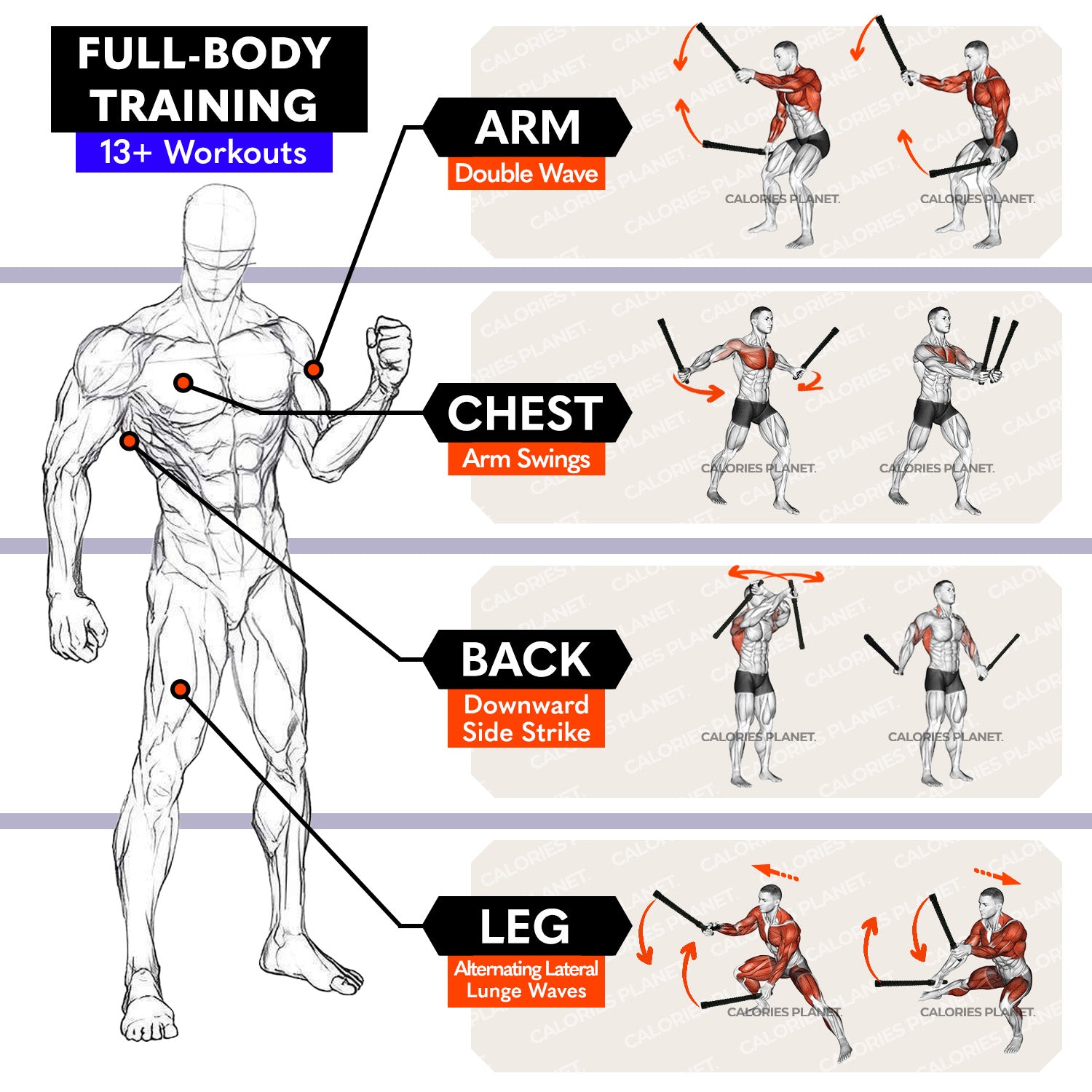 X1 Weighted Ropeless Battle Ropes