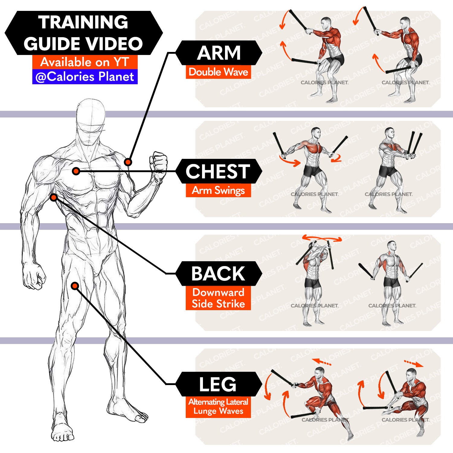 X1 Go Ropeless Battle Ropes
